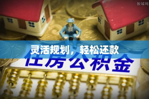 类乌齐灵活规划，轻松还款