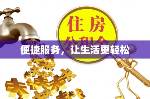 类乌齐便捷服务，让生活更轻松